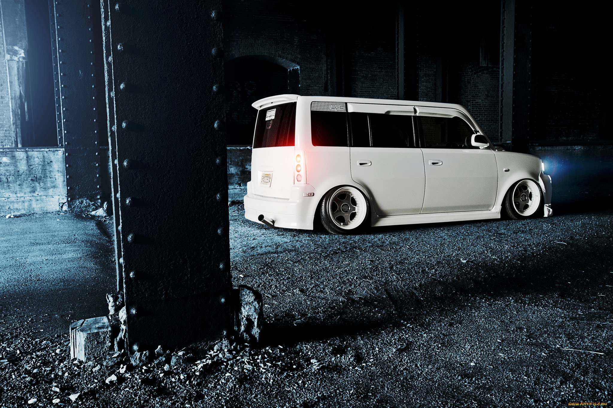 , scion